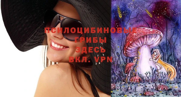 соль ск Абдулино