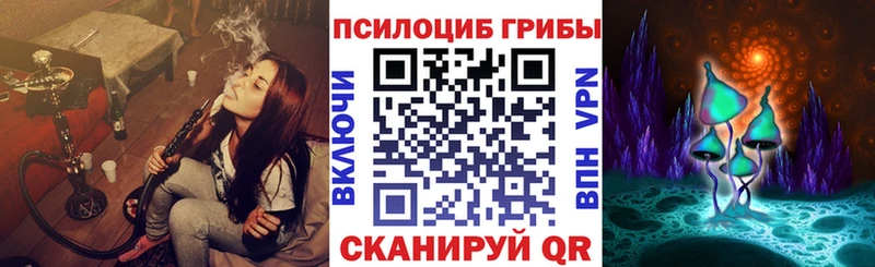 Галлюциногенные грибы Magic Shrooms  Шимановск 