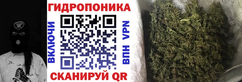 MEGA зеркало  Шимановск  Конопля White Widow  купить закладку 